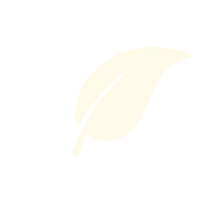 STRAT'UP - Feuille - Ecologie